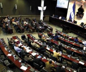 La lucha por una curul en el próximo Congreso Nacional será muy reñida.