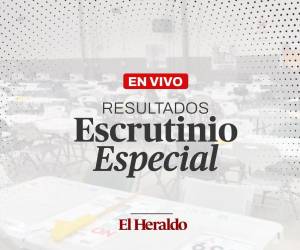 El escrutinio especial podría definir al ganador del nivel presidencial de las elecciones celebradas el pasado 30 de noviembre.