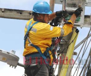 La privatización del sistema de distribución ha sido un fiasco.