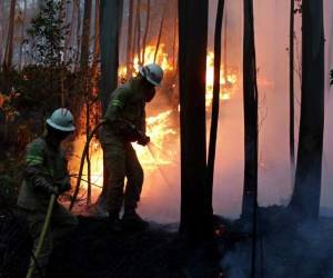 Constança Urbano de Sousa afirmó en su carta de dimisión: 'Considero que no reúno las condiciones políticas y personales para continuar en el cargo'. Fotos AFP