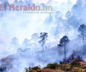 Los incendios forestales no solo dejan daños materiales y ambientales al país sino la pérdida de vidas. (Foto: El Heraldo)