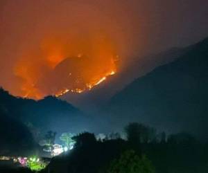 Desde noviembre, Guatemala ha registrado 2,314 incendios, principalmente forestales, afectando 40,700 hectáreas, con Petén siendo el área más impactada.