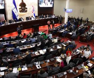 El Congreso Nacional impulsa acciones para fortalecer la estabilidad financiera y tributaria del país.