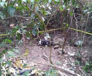 El joven vestía una calzoneta gris, camisa negra y tenis cuando fue acribillado por sus victimarios. Su cuerpo se halló en un sector boscoso, a la orilla del río.