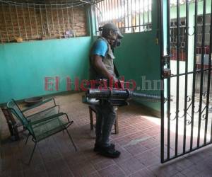 El Distrito Central es el epicentro del dengue por eso se están realizando acciones de fumigación casa por casa.