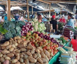 La Feria del Agricultor reportó leves ajustes en frutas y verduras, aunque la mayoría de productos básicos mantiene sus precios sin cambios.