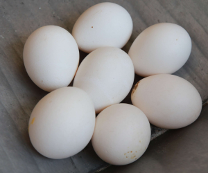 Las 30 unidades de huevo se pueden encontrar en los mercados y comercios en unos 135 o 140 lempiras.
