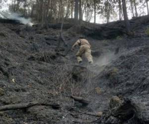 El departamento de Gracias a Dios ha sido el más afectado, sumando un total de 3,857 hectáreas de bosque perdido por las llamas. (Foto: Bomberos de Honduras)