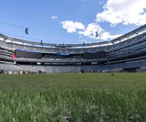 El césped que se utilizará en la final del Mundial 2026, el próximo 19 de julio en el estadio MetLife de Nueva Jersey (EE.UU.), será vendido por pequeñas piezas de colección por la FIFA a un precio de 450 dólares. Lo que se sabe de la inusual venta.
