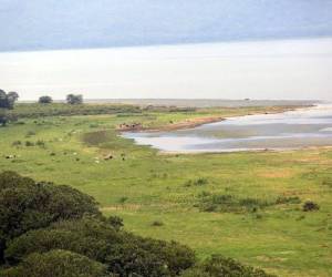 Copeco recibió una alerta de la supuesta desaparición de cuatro extranjeros en la tarde del pasado martes en el Lago de Yojoa. Sin embargo, se trataría de una llamada de emergencia falsa.