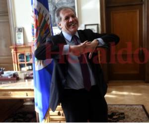 Juan Jiménez Mayor renunció por diferencias con el secretario general de la OEA, Luis Almagro.