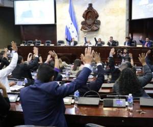 En la sesión del jueves los diputados emplearon el arcaico método de levantar la mano para aprobar la enmienda a la ley del Congreso Nacional.