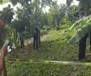 Los hermanos Luis Edgardo, Joel Nehemías y Marvin Josué fueron ejecutados a disparos en una zona solitaria de Chamelecón la madrugada del lunes 1 de febrero, presuntamente a manos de pandilleros.