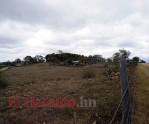 El predio ubicado en La Puerta mide un aproximada de 42 manzanas. Cada familia tendría 500 varas cuadradas para construir. Fotos: David Romero/EL HERALDO