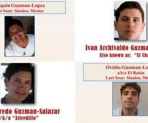 EEUU publicó póster de recompensa por “Los Chapitos”, hijos de Joaquín Guzmán Loera (Foto: Homeland Security Investigations)