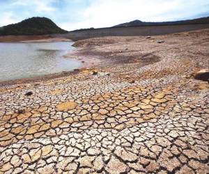 Si las precipitaciones no llegan al Corredor Seco y la zona central, Cenaos advierte que será necesario revisar el escenario de sequía.