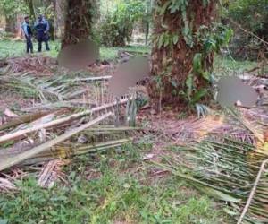 Algunos cuerpos fueron encontrados en la entrada a la finca, otros en medio de las palmas africanas.