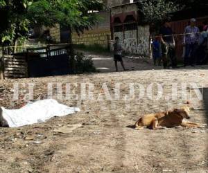 Cadáver de Silvio Ordóñez (58), a su lado su perro fiel cuidando de su amo. Foto: El Heraldo Honduras.