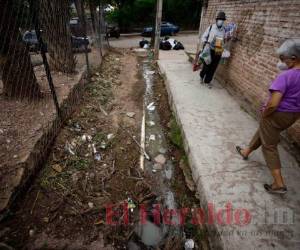 Los vecinos no toleran los fétidos olores en la zona. Foto: Emilio Flores/El Heraldo