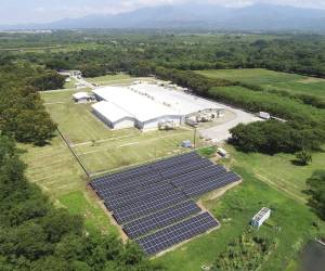 CMI instaló 3,612 paneles solares en cuatro operaciones avícolas en Honduras.