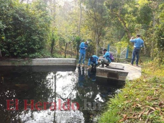 La mayoría de proyectos que fueron suspendidos son de la zona rural. En la ciudad se continuará con obras de pavimentación y reparación de carreteras, proyectos de alcantarillado y agua potable.