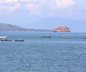 Foto: El Heraldo