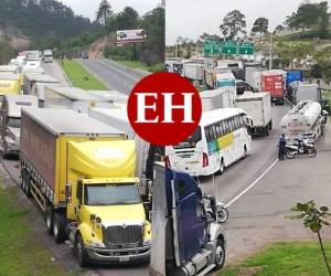 Una enorme cantidad de unidades de equipo pesado fueron estacionadas como medida de protesta en la carretera CA-5. Foto: Estalin Irías/ EL HERALDO