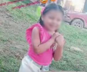 Miembros de la comunidad, en conjunto con el Cuerpo de Bomberos, realizan una intensa búsqueda en las zonas cercanas al lugar donde la menor desapareció.