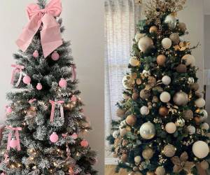 El árbol de Navidad es una tradición que no puede faltar en ningún hogar hondureño durante esta temporada. Sus brillos y colores dan un toque de alegría y calidad a las familias.