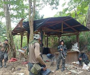 Agentes de las Fuerzas Armadas hallaron la plantación de coca.