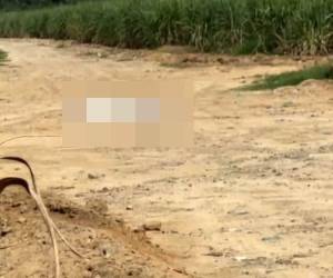 Los restos del fallecido fueron localizados en un sector desolado de las cañeras de Brisas del Valle en El Progreso, Yoro.