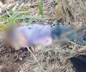 Dos personas fueron asesinadas en Santa Bárbara este lunes.