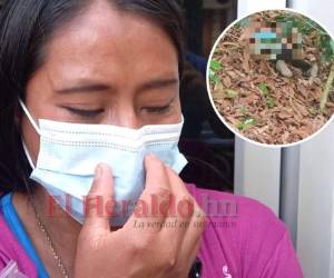 La madre de los pequeños no podía contener el llanto al narrar el infierno en el que se convirtió su vida. Foto: Estalin Irías/ EL HERALDO