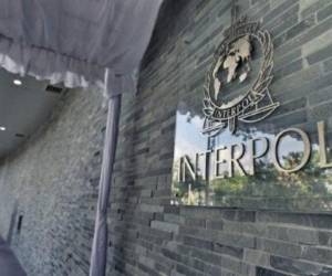 Los prófugos, buscados por delitos graves, como asesinato, secuestro o violencia sexual, eran todos objeto de notificaciones rojas de Interpol. Foto: AFP