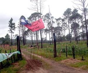 Unas tres mil familias campesinas invadieron en diciembre de 2009 un total de 27 fincas propiedad en su mayoría del empresario agrícola Miguel Facussé y otra parte del también inversionista René Morales.