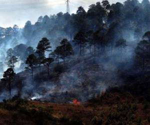 Son más de 450 incendios forestales que se registran este año, los cuales han dañado más de 18,000 hectáreas.