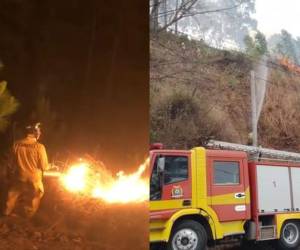 Desde horas de la tarde de ayer lunes -18 de marzo- con el uso de helicópteros y personal en tierra, el Cuerpo de Bomberos con el apoyo de instituciones como las Fuerzas Armadas y la Fuerza Área Hondureña (FAH) luchan con el fin de controlar el incendio registrado en el Parque Nacional La Tigra. , el pavoroso siniestro continúa activo siendo un total de seis zonas las atendidas por el personal. A continuación los detalles.