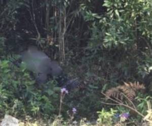 Los occisos quedaron tendidos boca abajo en medio de una calle de tierra, rodeada de árboles.