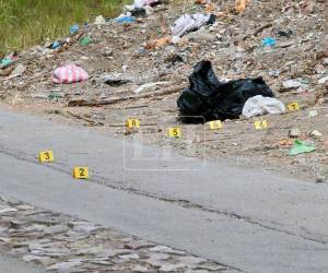 En el sector de Nueva Aldea de la capital Distrito Central se reportó el dantesco hallazgo de un cuerpo de una persona sin vida, a quien dejaron en el interior de una bolsa. Más detalles del crimen a continuación.