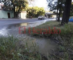 El desbordamiento de aguas negras también ha colmado de malos olores toda esta zona. Foto: Marvin Salgado/EL HERALDO