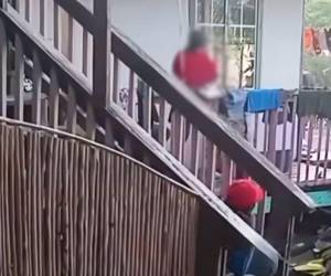 Tras hacerse viral la grabación, usuarios solicitaron la intervención de las autoridades competentes para garantizar su protección.