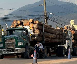 Los incendios forestales, la tala ilegal y las plagas afectan cada año entre 60,000 y 70,000 hectáreas de los bosques de Honduras, causando un fuerte impacto en la industria maderera, según fuentes oficiales y la que es considerada como principal empresa del sector en el país centroamericano.