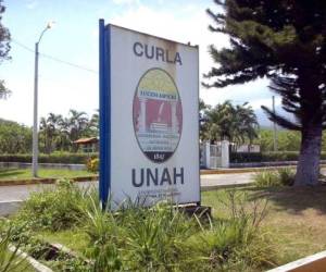 Odir Fernández, rector de la máxima casa de estudios, manifestó que el CURLA merece de una atención especializada porque es un centro regional que puede transformar al país.