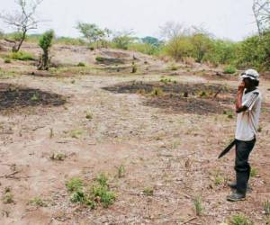Centroamérica es una de las regiones que más resulta afectada por el cambio climático. Foto: EL HERALDO