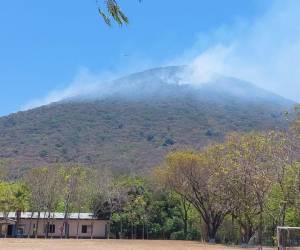 Incendio forestal afecta zonas altas de la Isla del Tigre desde hace tres días