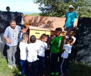 Los escolares del centro educativo Adán Sierra mientras ayudan al profesor Héctor Ordóñez a bajar un escritorio del vehículo en el que había sido trasladada la estructura de madera. Foto: Johny Magallanes/El Heraldo.