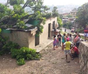 Un árbol cae sobre el techo de una casa en el barrio La Soledad, en la capital de Honduras. Foto: Estalin Irías / El Heraldo.