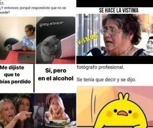 Los divertidos memes se apoderaron de las redes sociales este 2019. Con el paso de los días iban apareciendo las creativas imágenes que rápidamente se volvieron viral. Este año, sin duda alguna, los gatos fueron protagonistas. Aquí un recuento de los memes más virales de 2019.