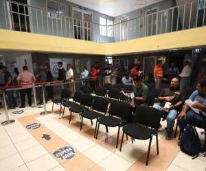 La DVVT implementará brigadas móviles que llegarán a varios lugares para agilizar tramites de licencias de conducir.