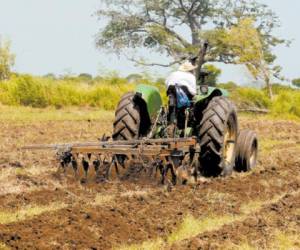 Los productores agrícolas del interior del país alegan que son de los menos beneficiados con la medida fiscal. (Foto: El Heraldo Honduras)